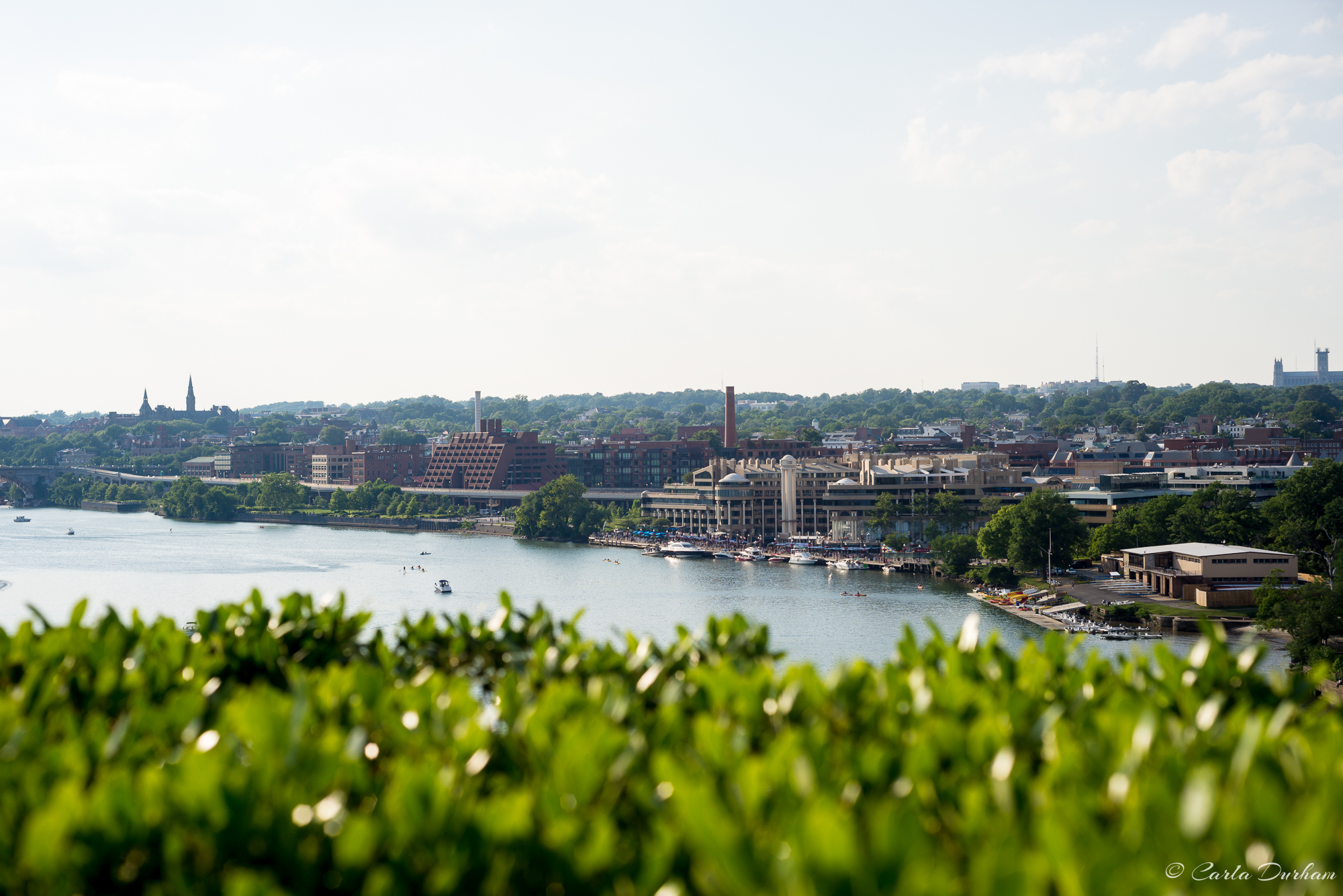 Views from the Kennedy Center roof top terrace - Photographer Carla Durham - Carla in the City